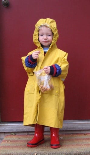 The Raincoats
